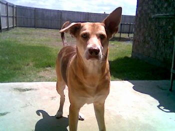 oracle profile photo