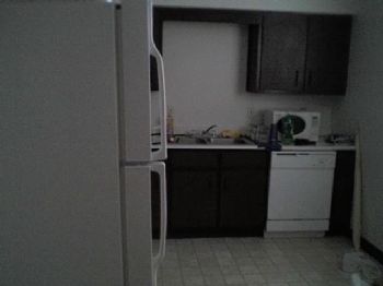 skiclark8 profile photo