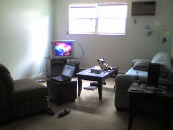 skiclark8 profile photo