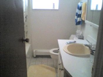 skiclark8 profile photo