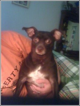 krisdunc profile photo