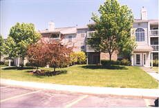 lacey15175 profile photo