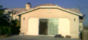 sylverfoxy profile photo