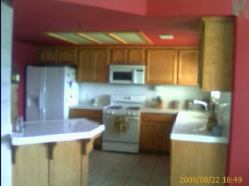 sylverfoxy profile photo