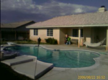 sylverfoxy profile photo