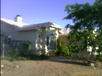 sylverfoxy profile photo