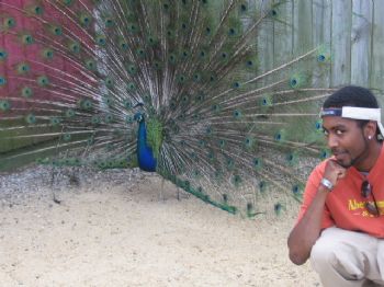 bcottrel profile photo