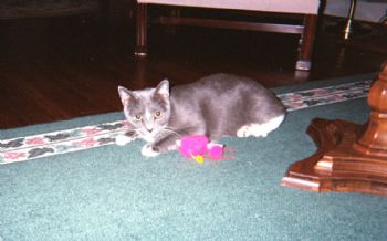 Maggie503 profile photo