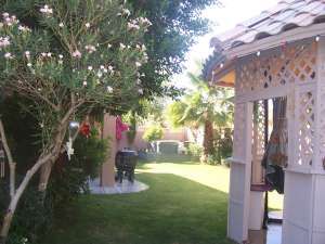 kstater profile photo