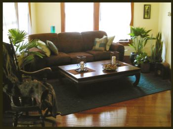 missbomaha1 profile photo