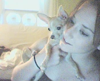 amativedesir profile photo