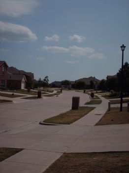 lwolfe profile photo