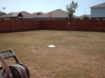 lwolfe profile photo