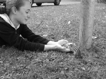 detonica profile photo