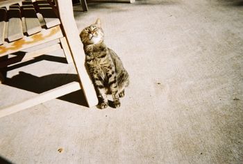 detonica profile photo