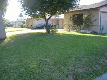 rockydino53 profile photo