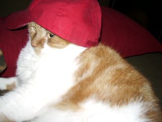 davidlbond profile photo