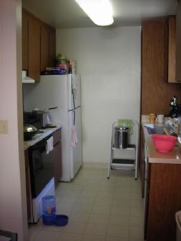 stereoeraser profile photo