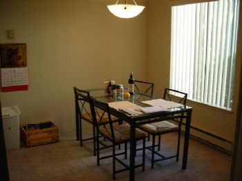 stereoeraser profile photo