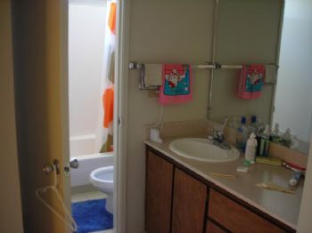 stereoeraser profile photo