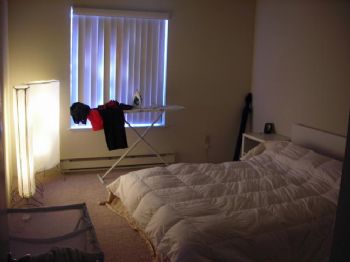 stereoeraser profile photo