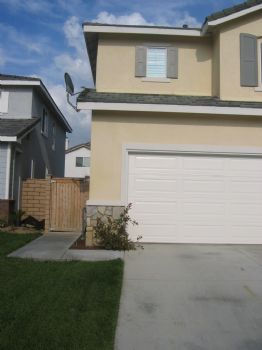 darius121 profile photo