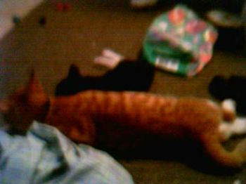 BSxStph profile photo