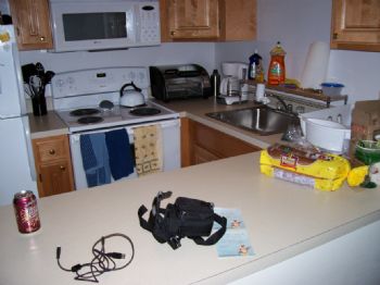 snoopseanie profile photo