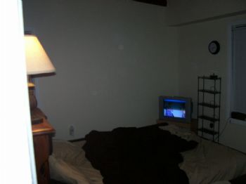 snoopseanie profile photo