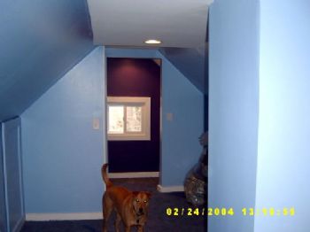 toonice35 profile photo