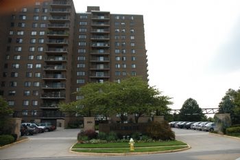 adelinapc profile photo