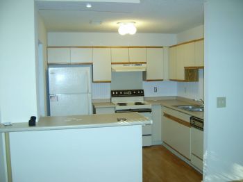 mikechassc profile photo