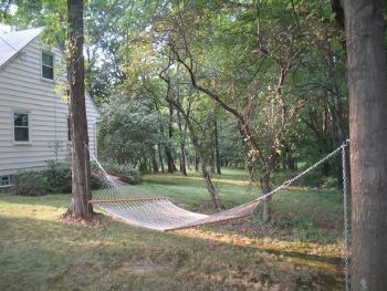 jpdod742 profile photo