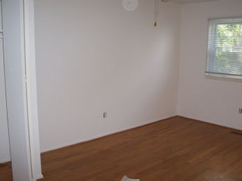 craig85 profile photo