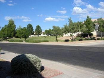 dorlando profile photo