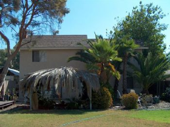 bigmichael profile photo