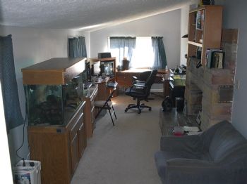 stilesr9167 profile photo