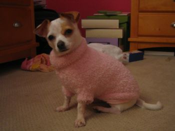 hroode profile photo