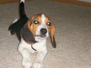 cram06 profile photo