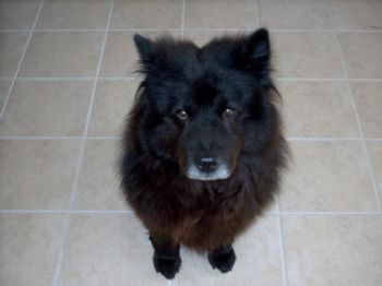 hperron profile photo