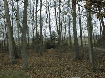 bbbeans profile photo