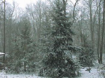 bbbeans profile photo