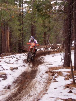 ktmrider profile photo