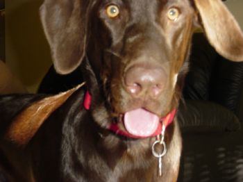 roc5226 profile photo
