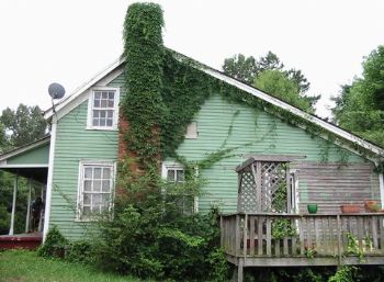 LiasHouse profile photo