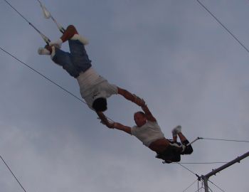 trapezeguy profile photo