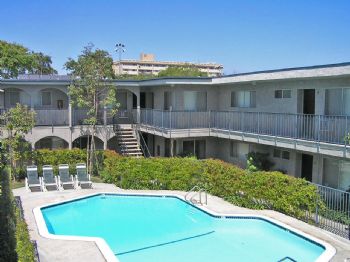 evelyn555 profile photo