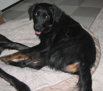 wakesesh profile photo