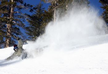 wakesesh profile photo