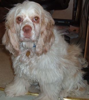 princessa profile photo